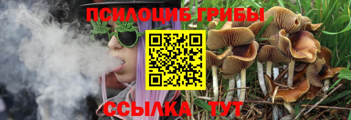 Галлюциногенные грибы Cubensis  Вход с VPN  Фролово 