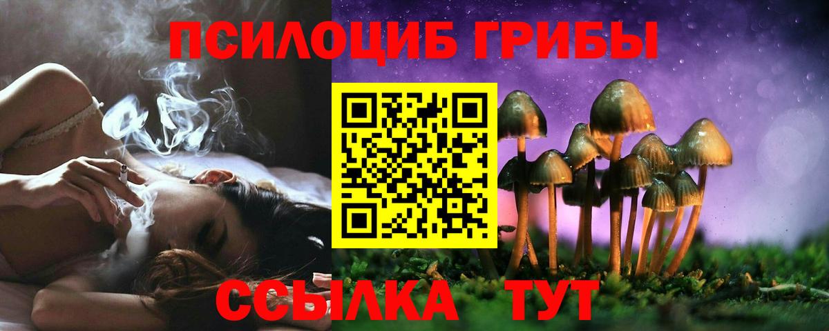 Псилоцибиновые грибы Psilocybe Фролово