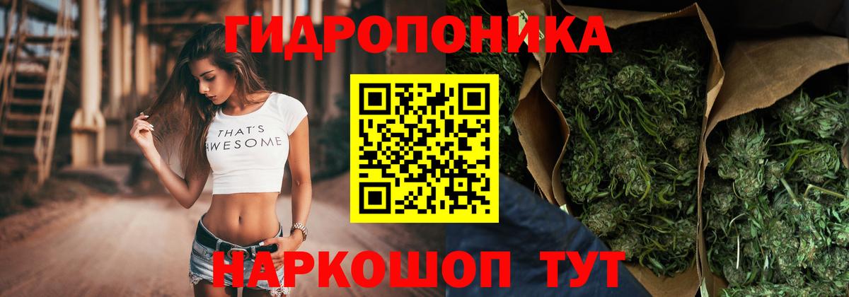 Марихуана планчик Фролово